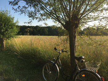 Eingang zum Naturlehrpfad